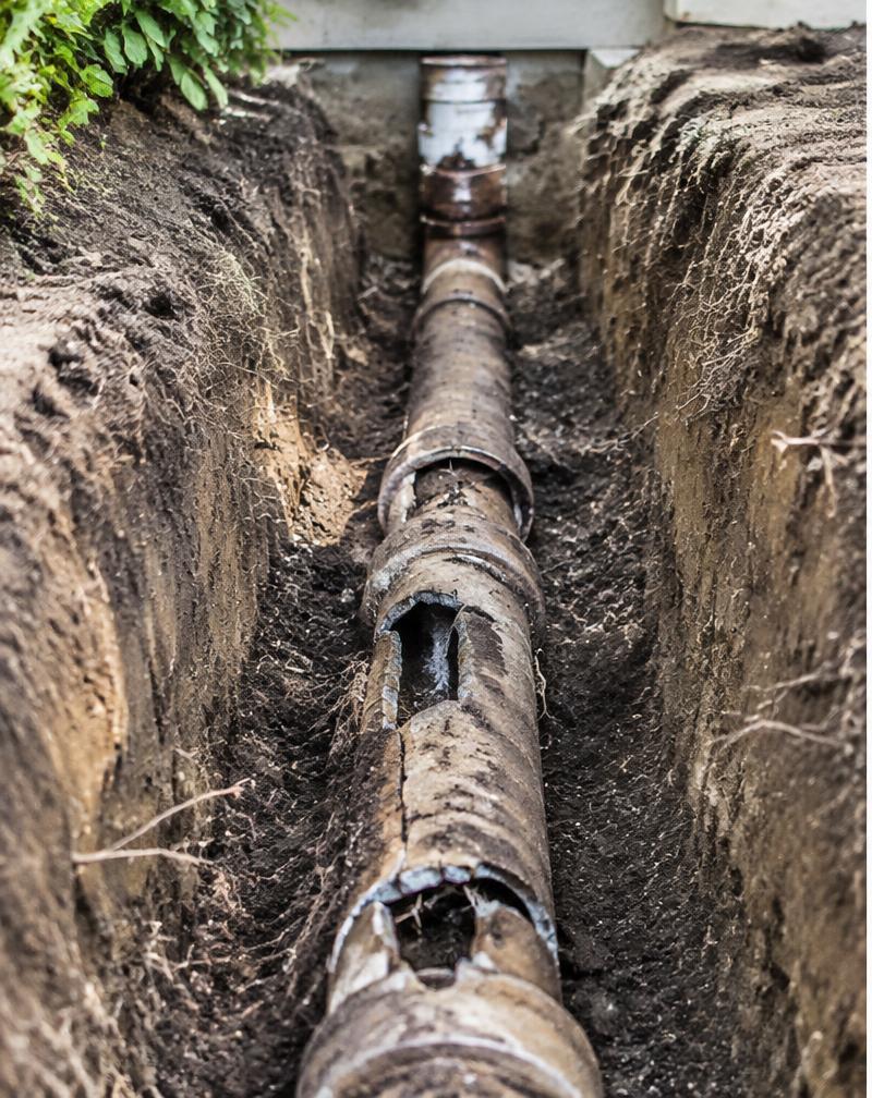Sewer line, before repair